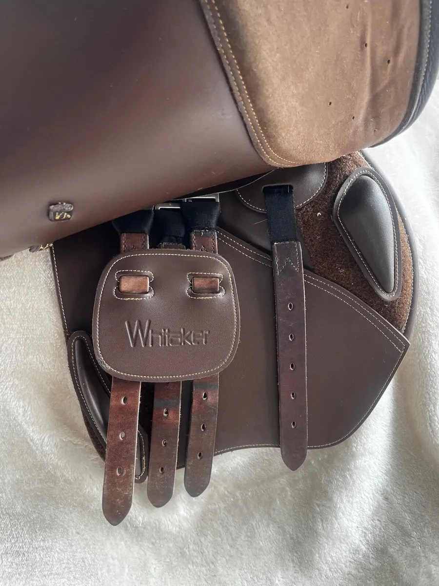 17.5inch GP Whitaker Saddle - Image 2
