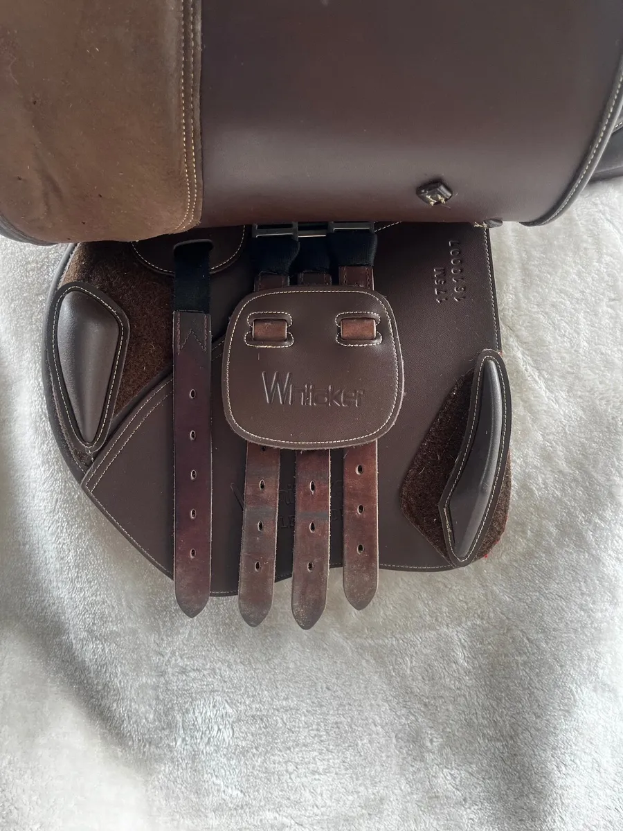 17.5inch GP Whitaker Saddle - Image 3