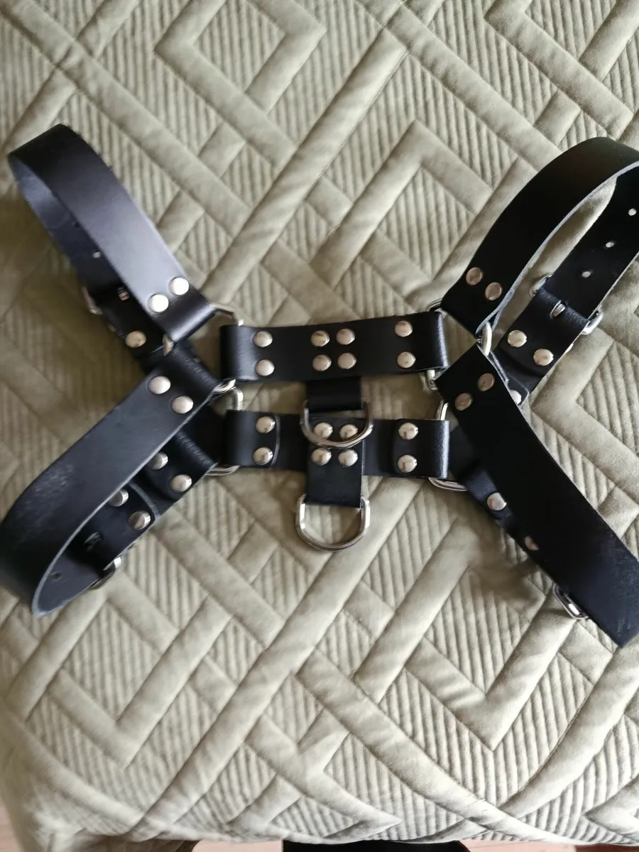 Kink mens leather body harness - Image 2