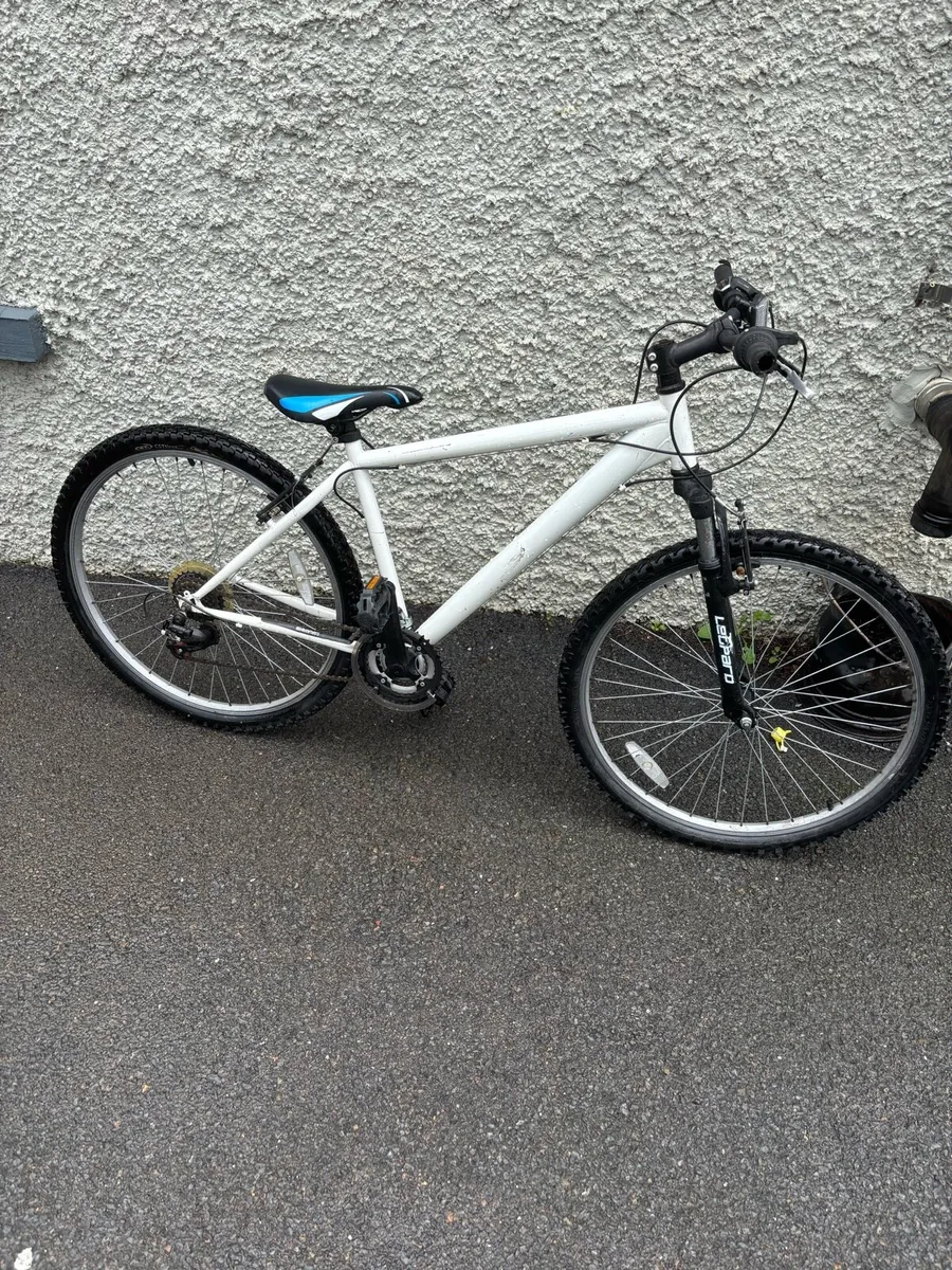 Leopard Bike 22 inch rims - Image 1