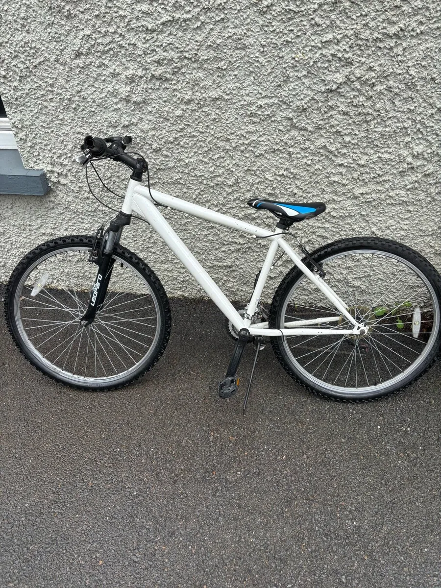 Leopard Bike 22 inch rims - Image 2