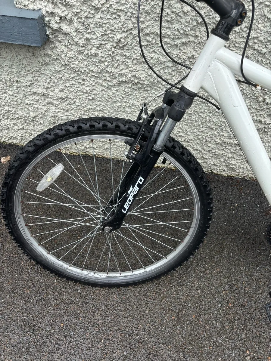Leopard Bike 22 inch rims - Image 3
