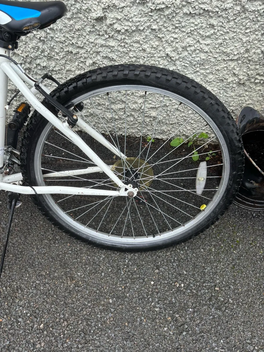 Leopard Bike 22 inch rims - Image 4