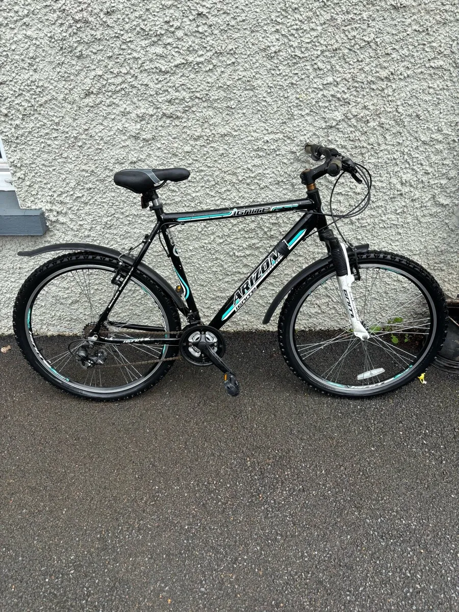 Arizona Ignite Mountain Bike 22inch rims - Image 1