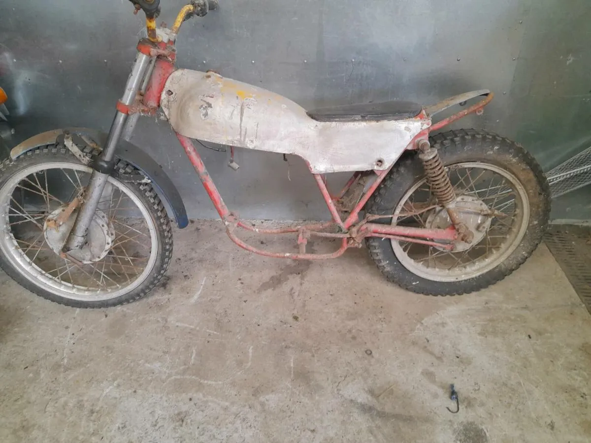 montessa 250 project - Image 2
