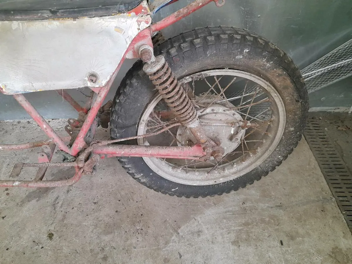 montessa 250 project - Image 4