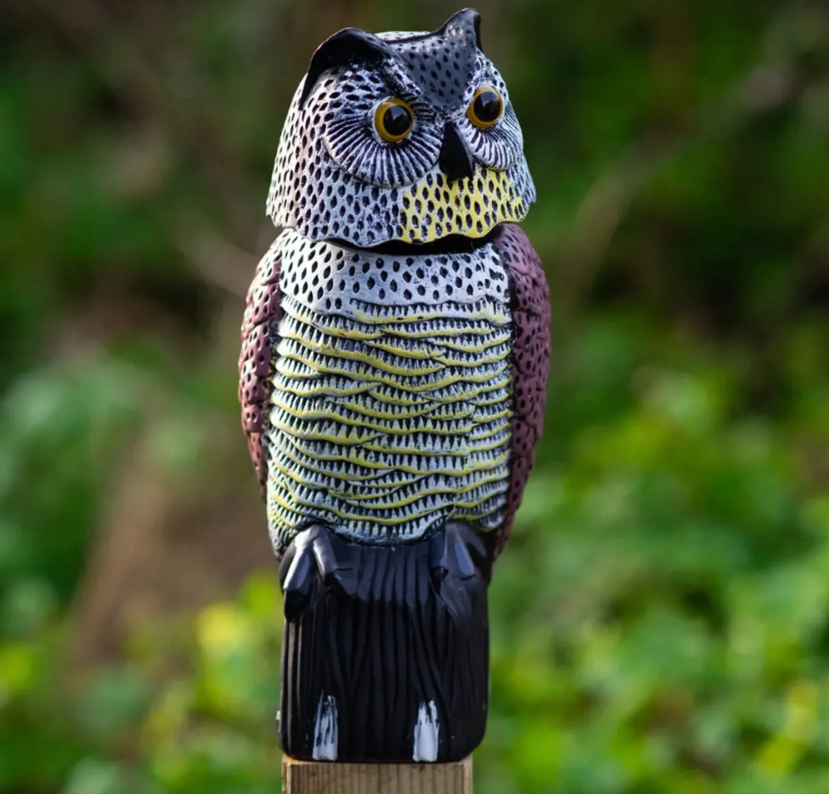 Realistic Bird Pigeon Scarecrow • Owl Decoy NEW - Image 1