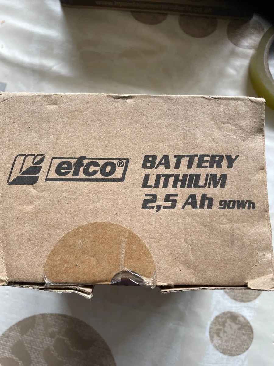 Efco lithium battery - Image 1