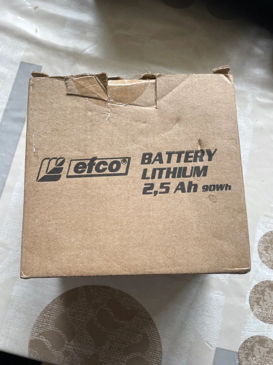 Efco lithium battery - Image 2