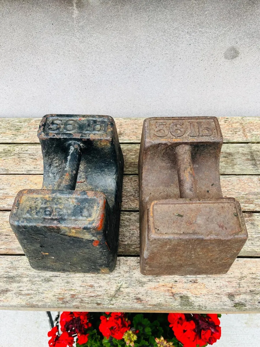 2 x 56lb weights - Image 1