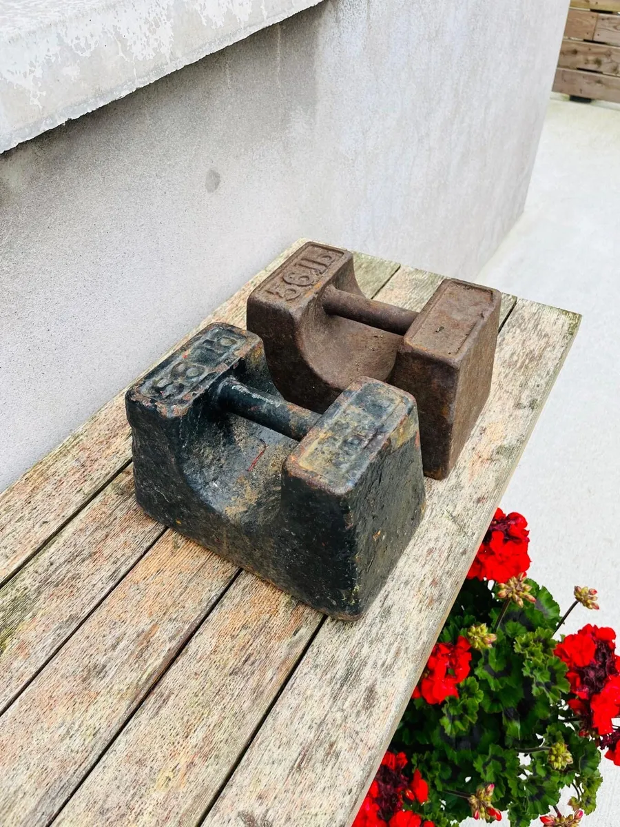 2 x 56lb weights - Image 2