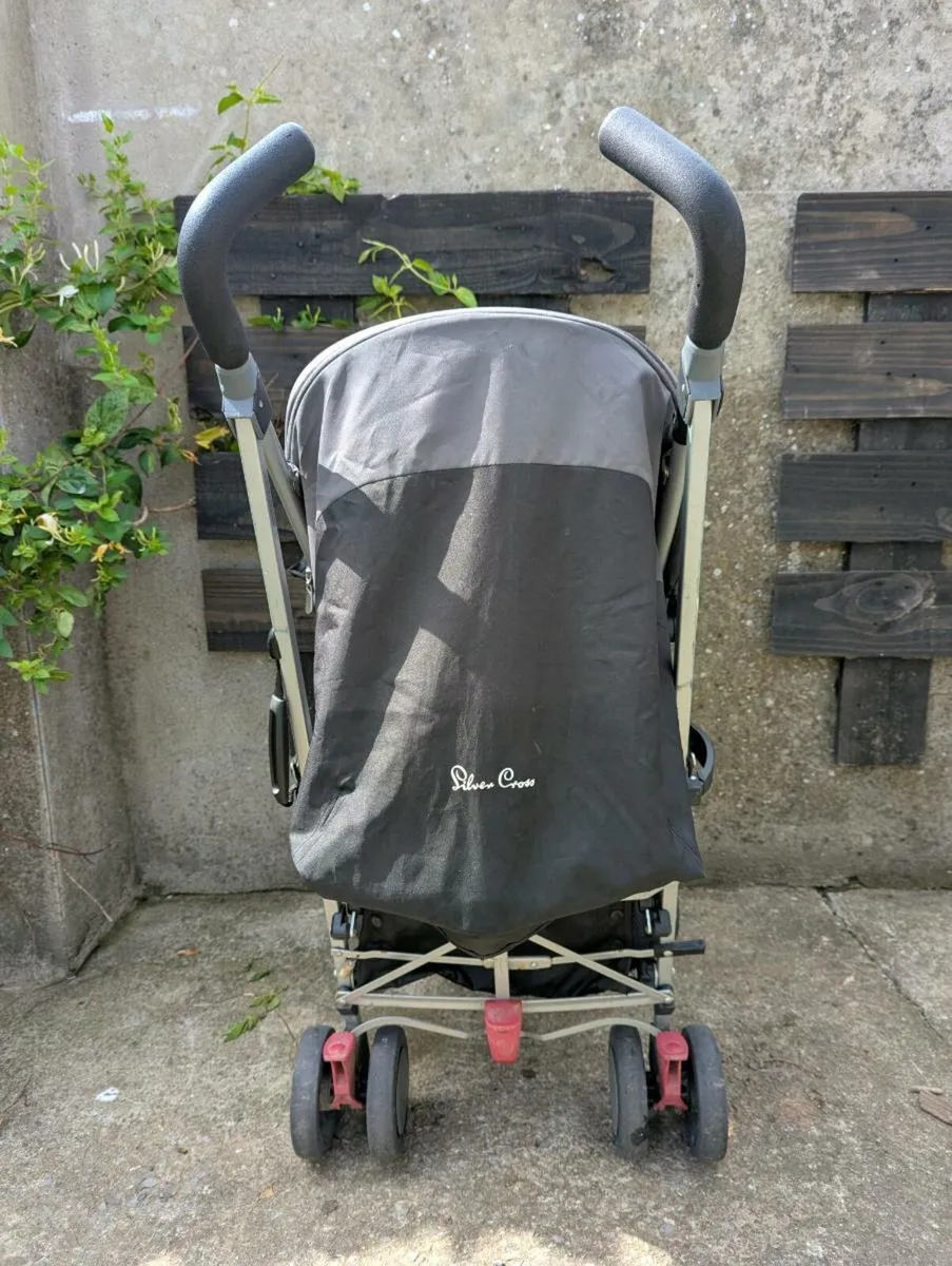 Buggy - Image 3