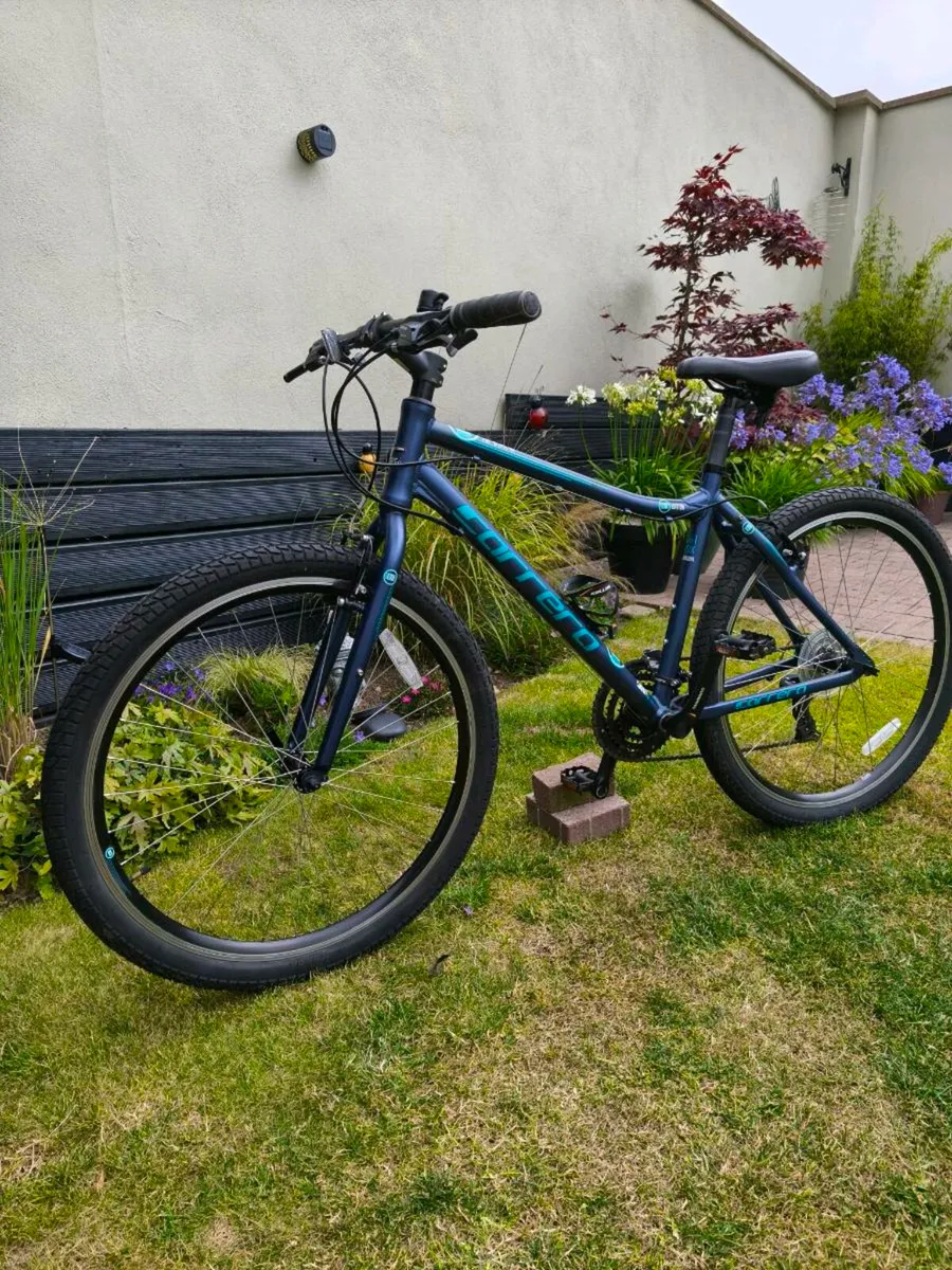 Ladies bicycle - Image 1