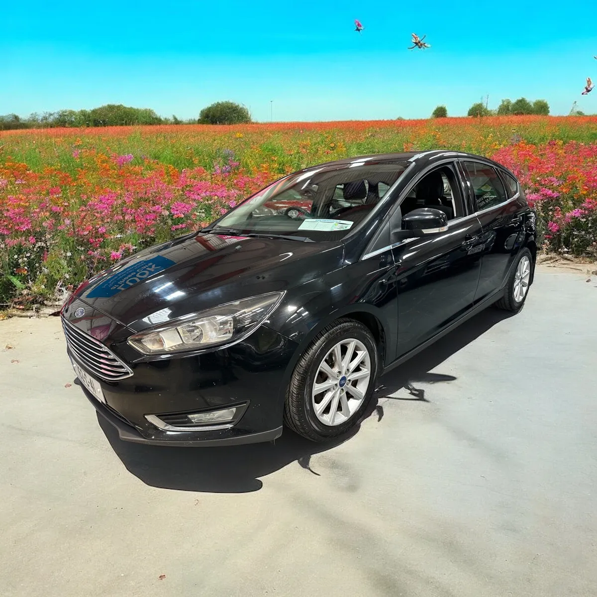 Ford Focus 1.5 TDCi 95PS Titanium sold - Image 1