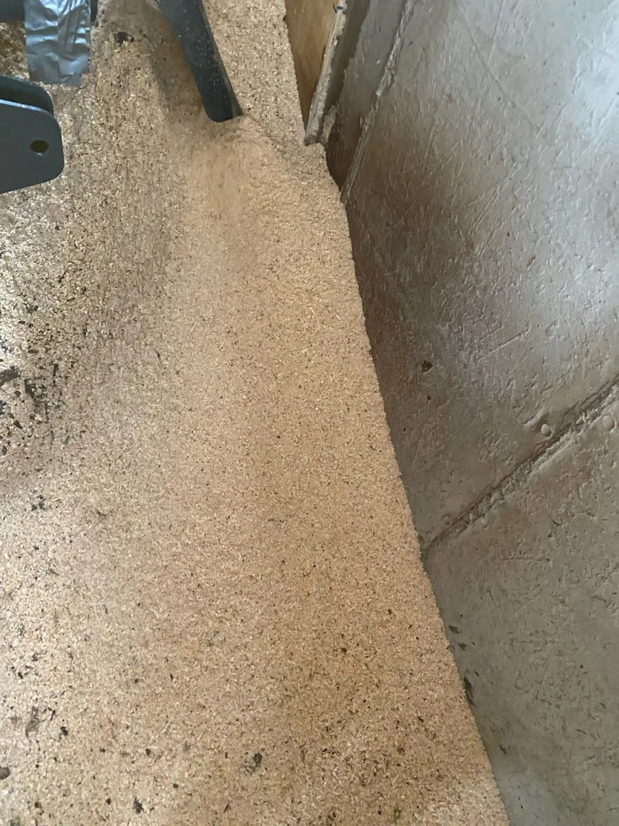 Sawdust - Image 2