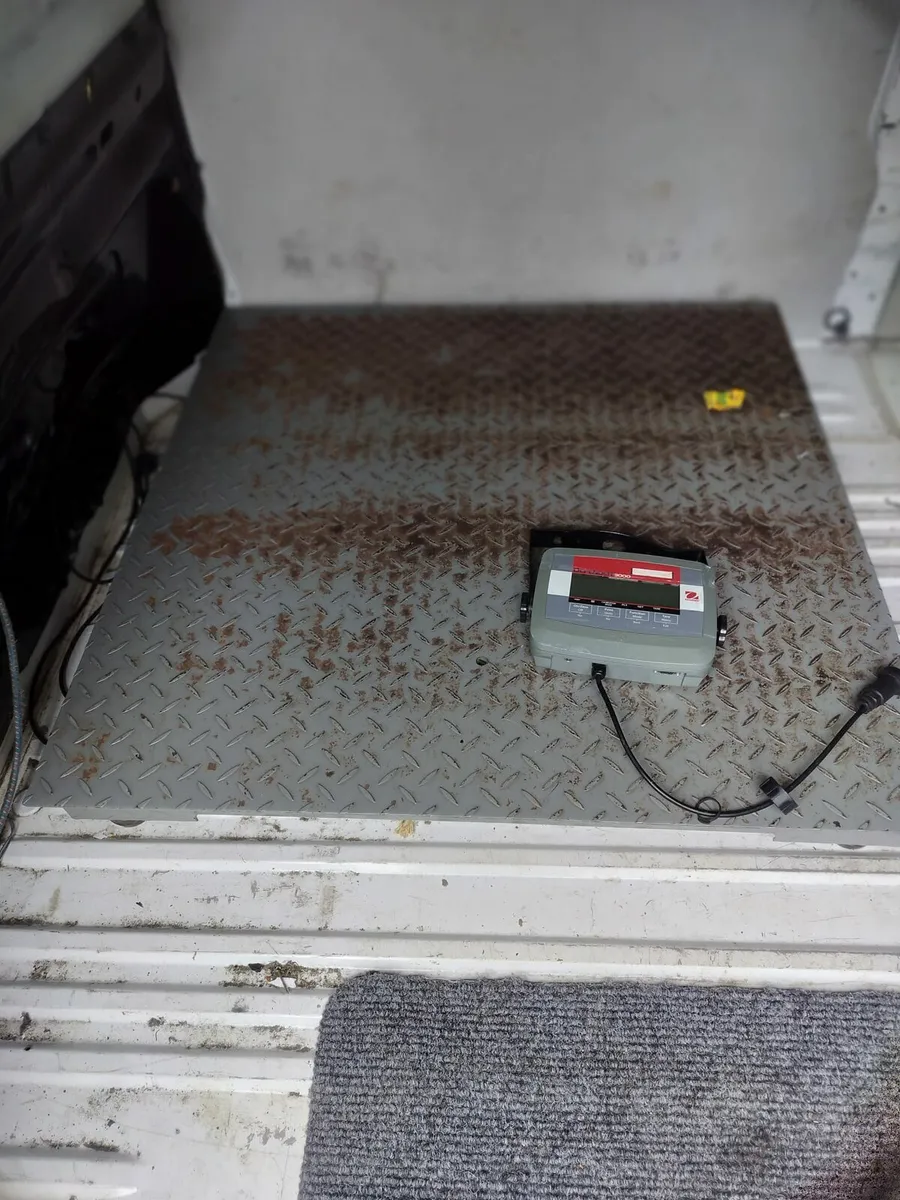 Industrial scales - Image 3