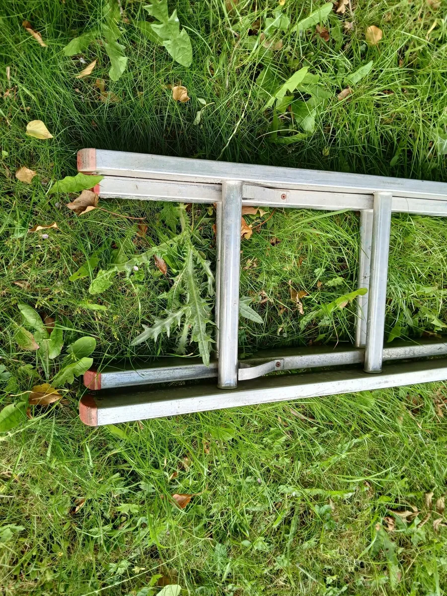 Extending Aluminium Ladder 20 Ft ,6 M approx High - Image 2