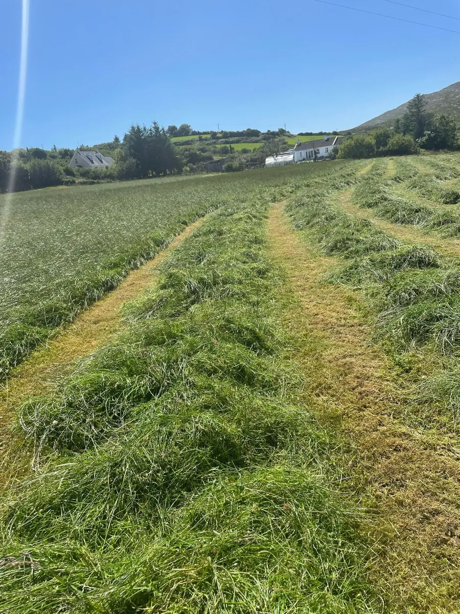 Kunn mower - Image 2
