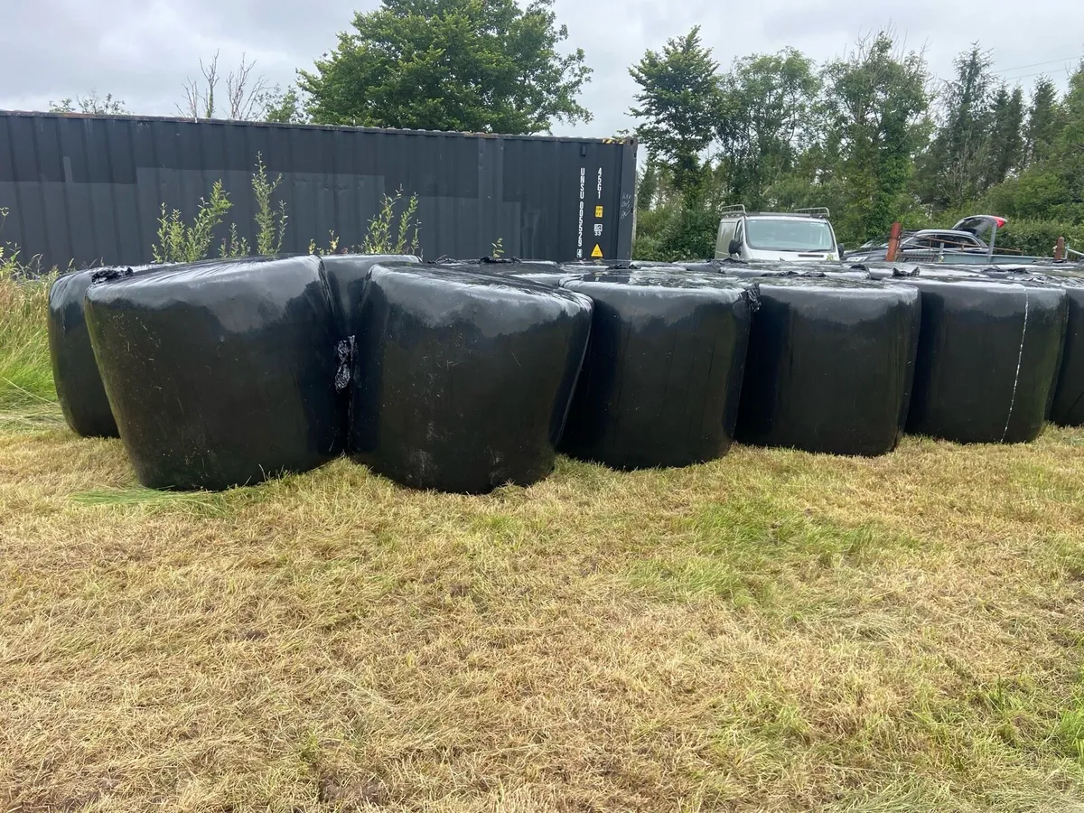 Bales for sale 29 - Image 2