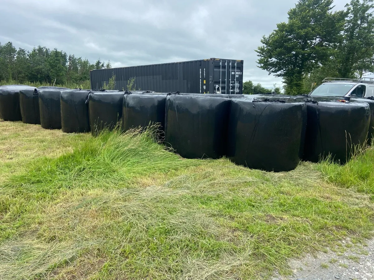 Bales for sale 29 - Image 3