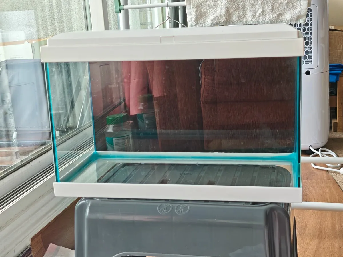 fish tank - Image 4