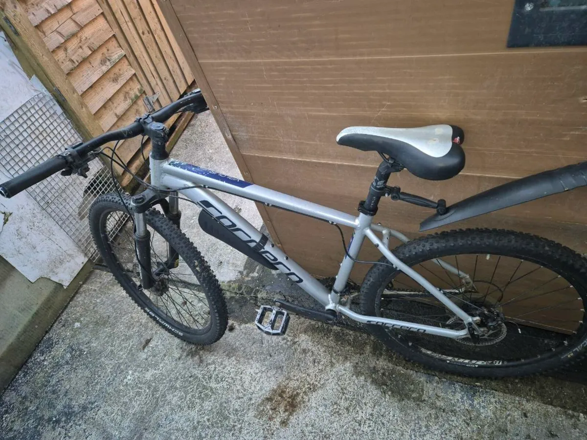 Bikes - Image 1