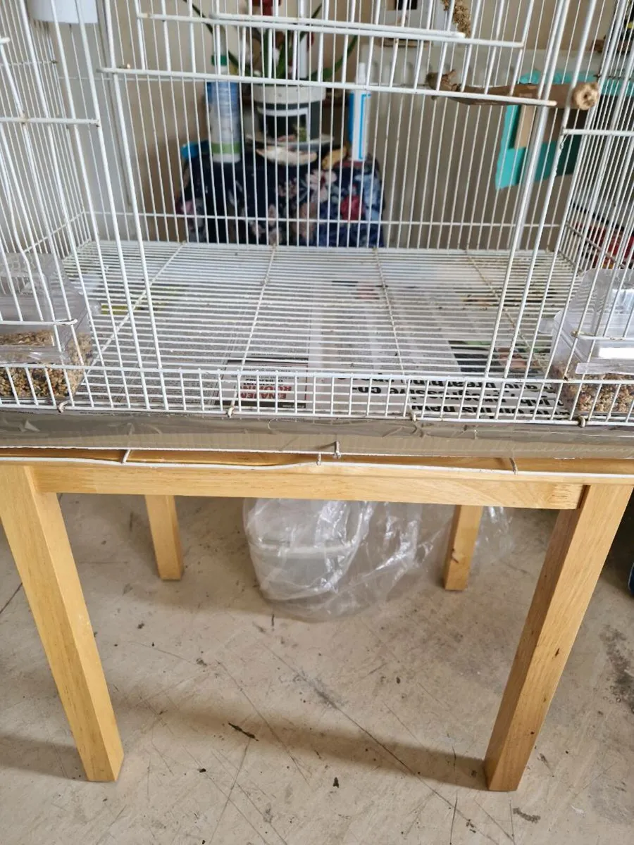 Bird  and cage. - Image 3