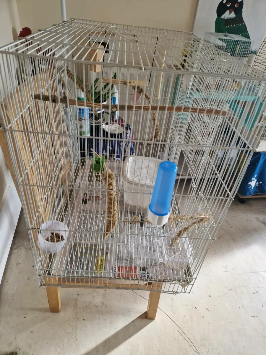Bird  and cage. - Image 4