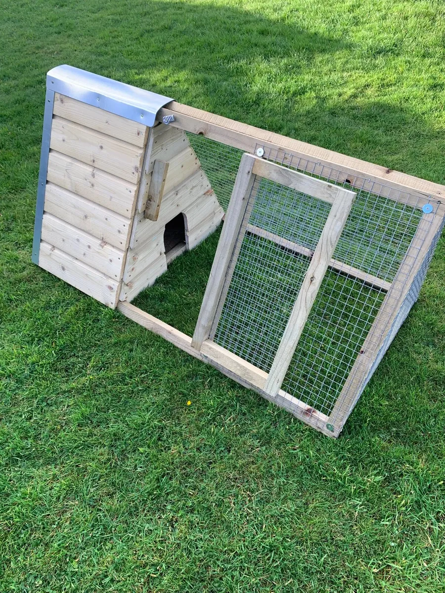 Rabbit and Hutches - Image 3