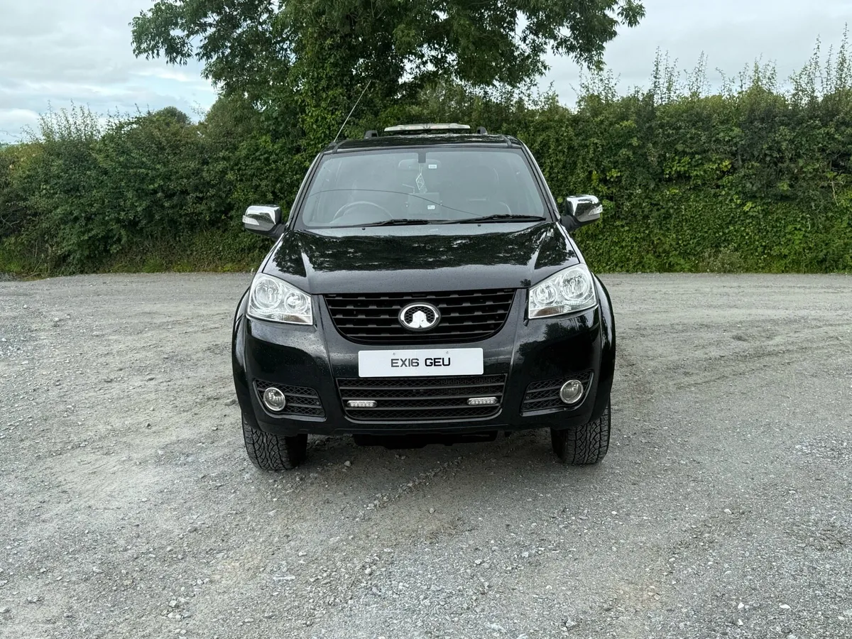 Great Wall steed - Image 3