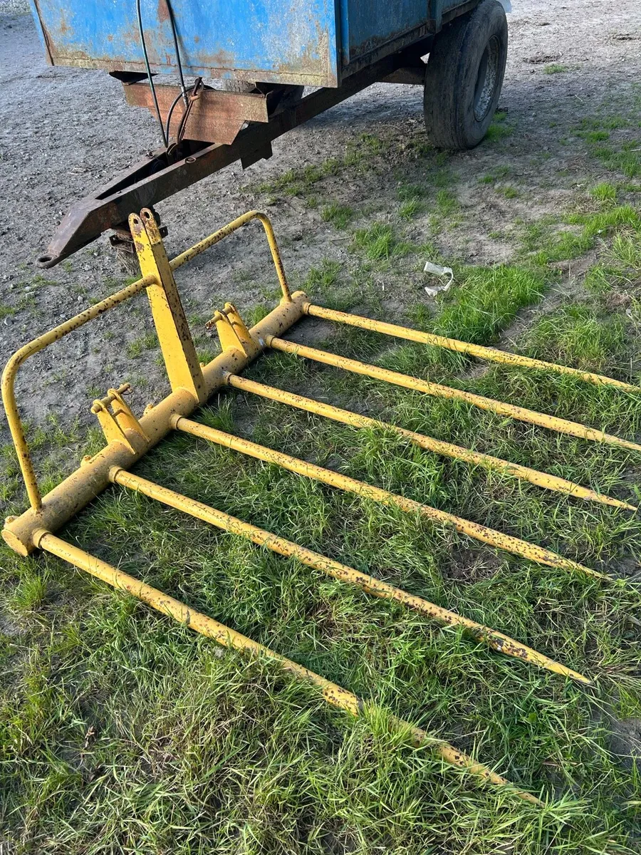 Buckrake - Image 2