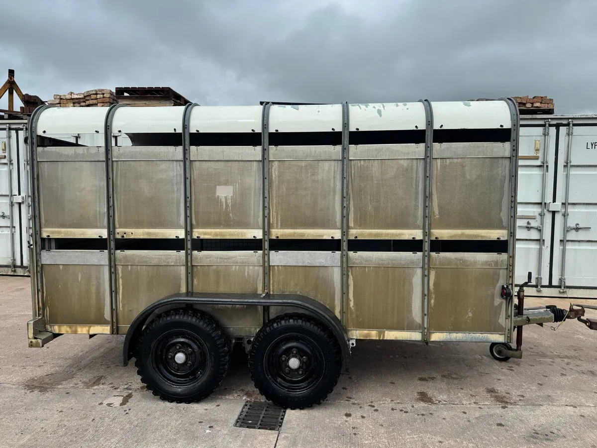 Ifor Williams cattle trailer - Image 1