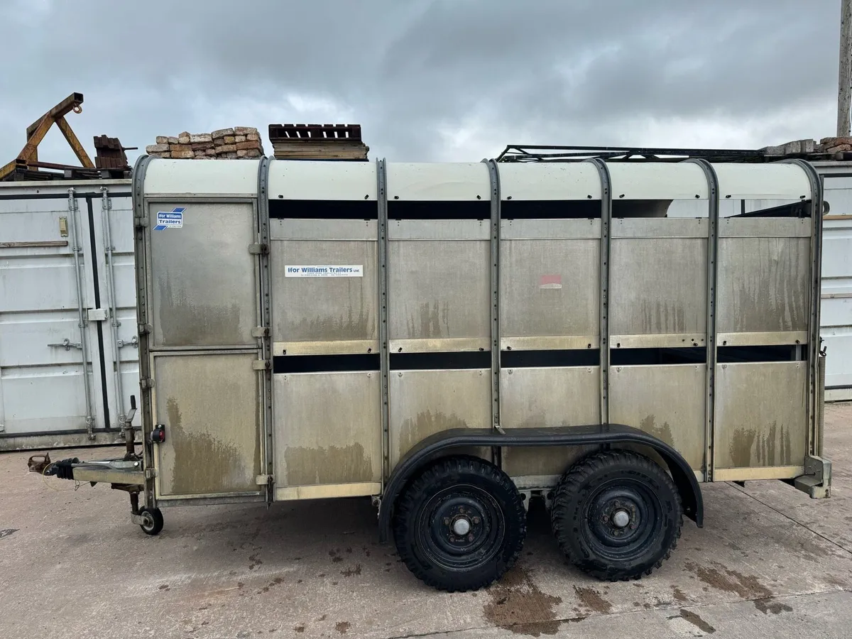 Ifor Williams cattle trailer - Image 4
