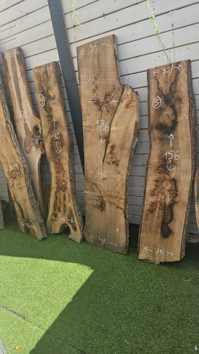 Walnut Live Edge - Image 3