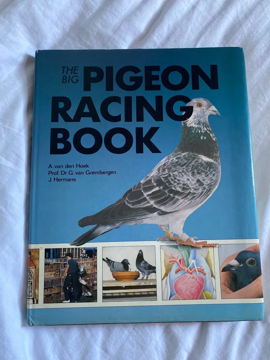 T3 Pigeon Racing Clock - Image 3