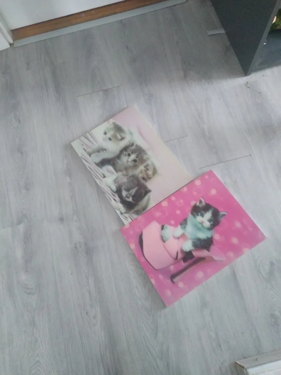 Pictures - Image 2