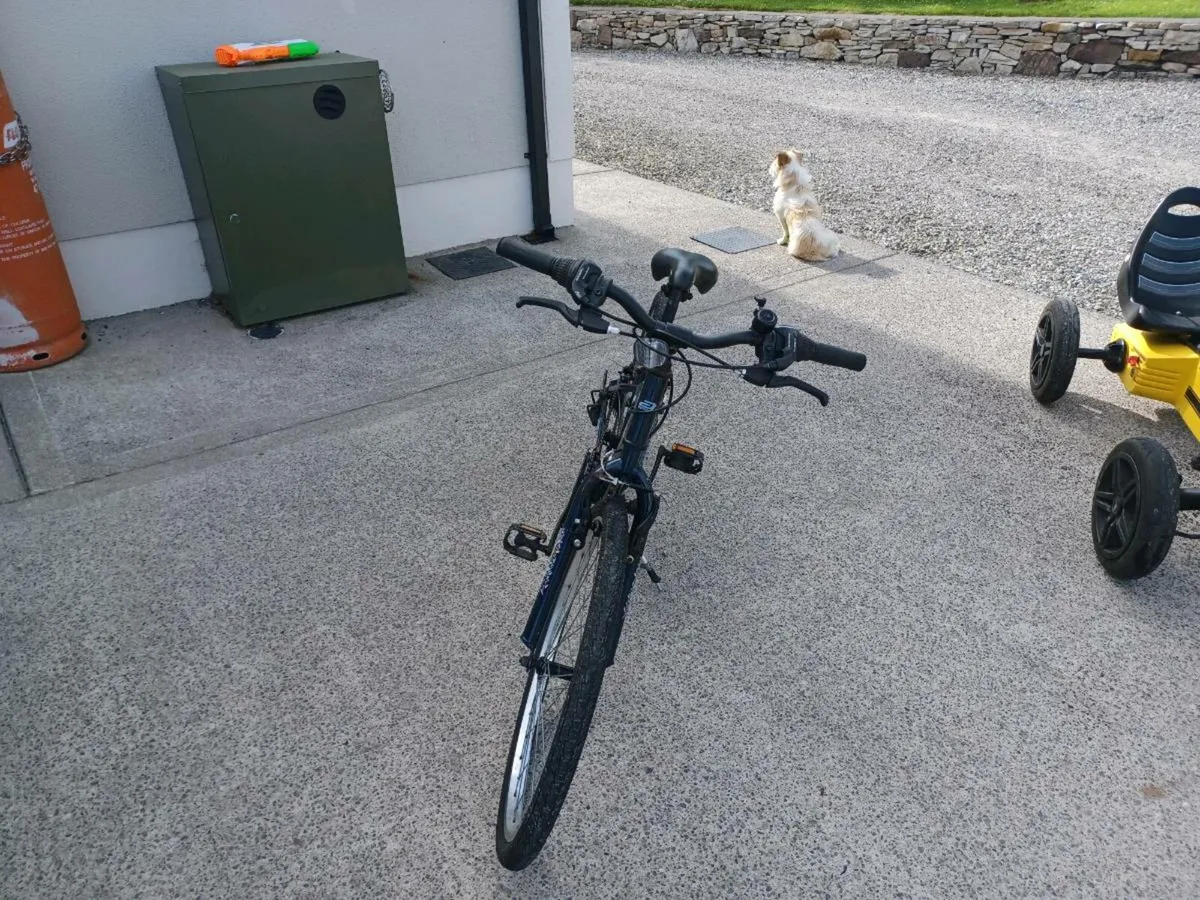 Girls Apollo bike - Image 1