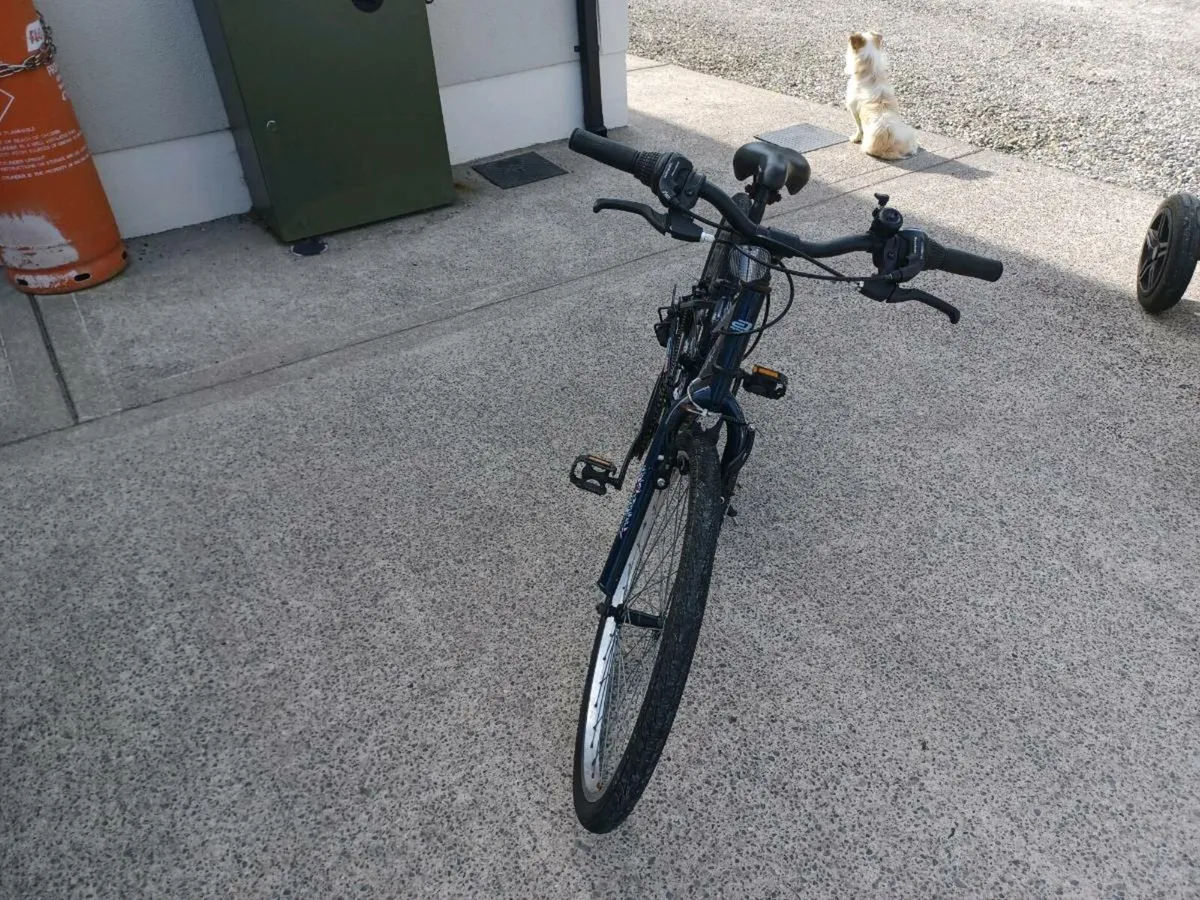 Girls Apollo bike - Image 2