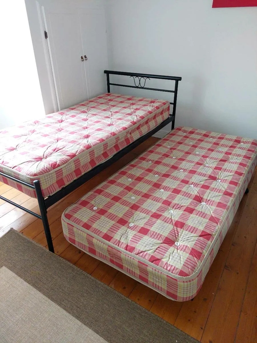 Single bed  and roll out bed - Image 1