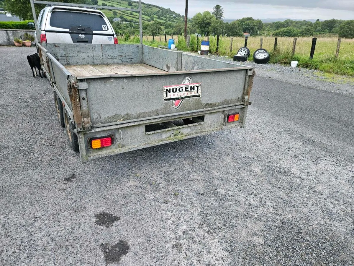 Nugent like Ifor williams - Image 2