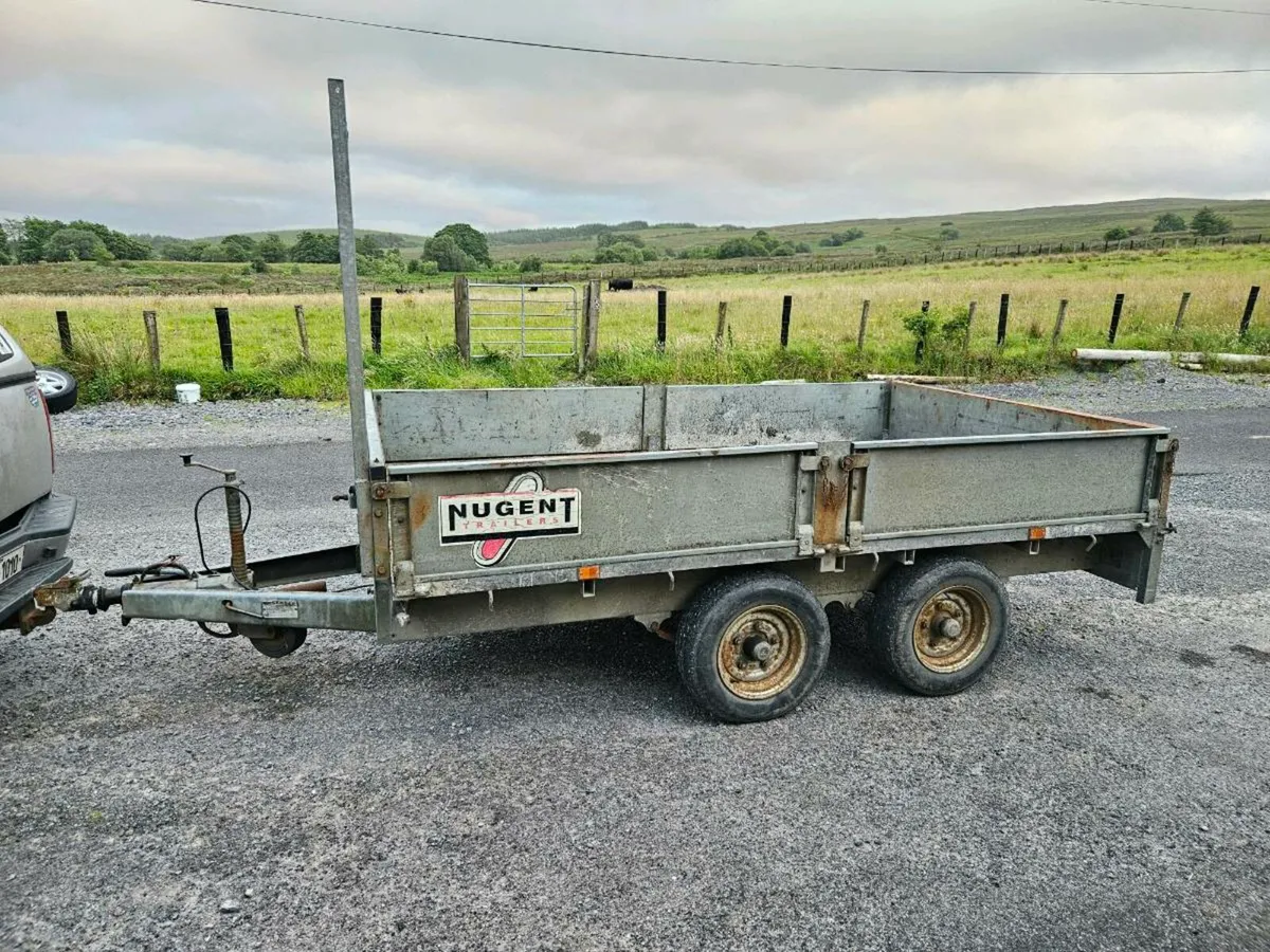 Nugent like Ifor williams - Image 3