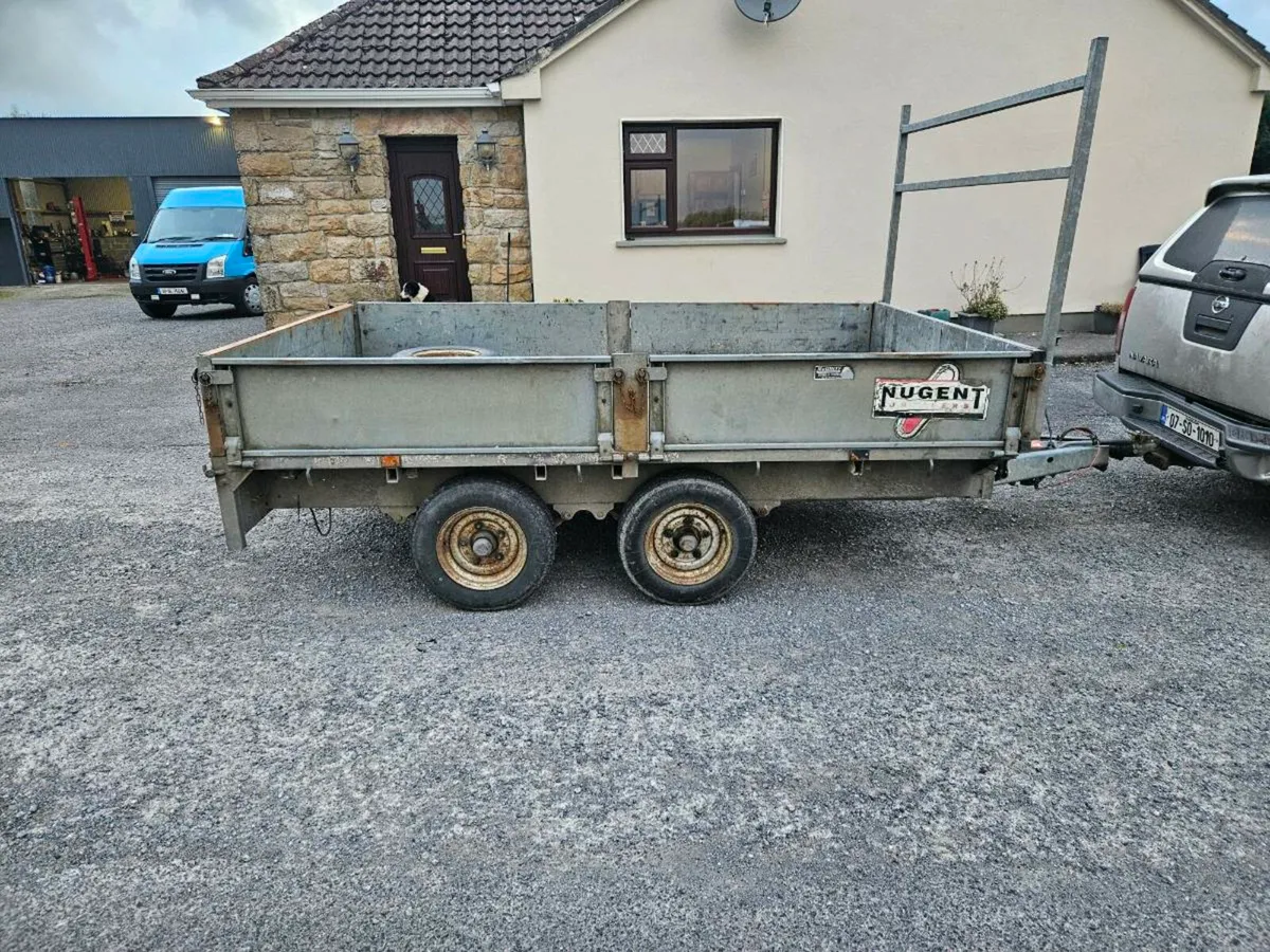 Nugent like Ifor williams - Image 4