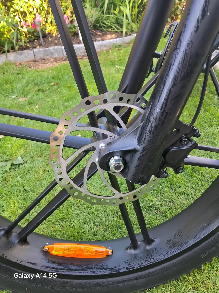 Electric Bike - Image 3