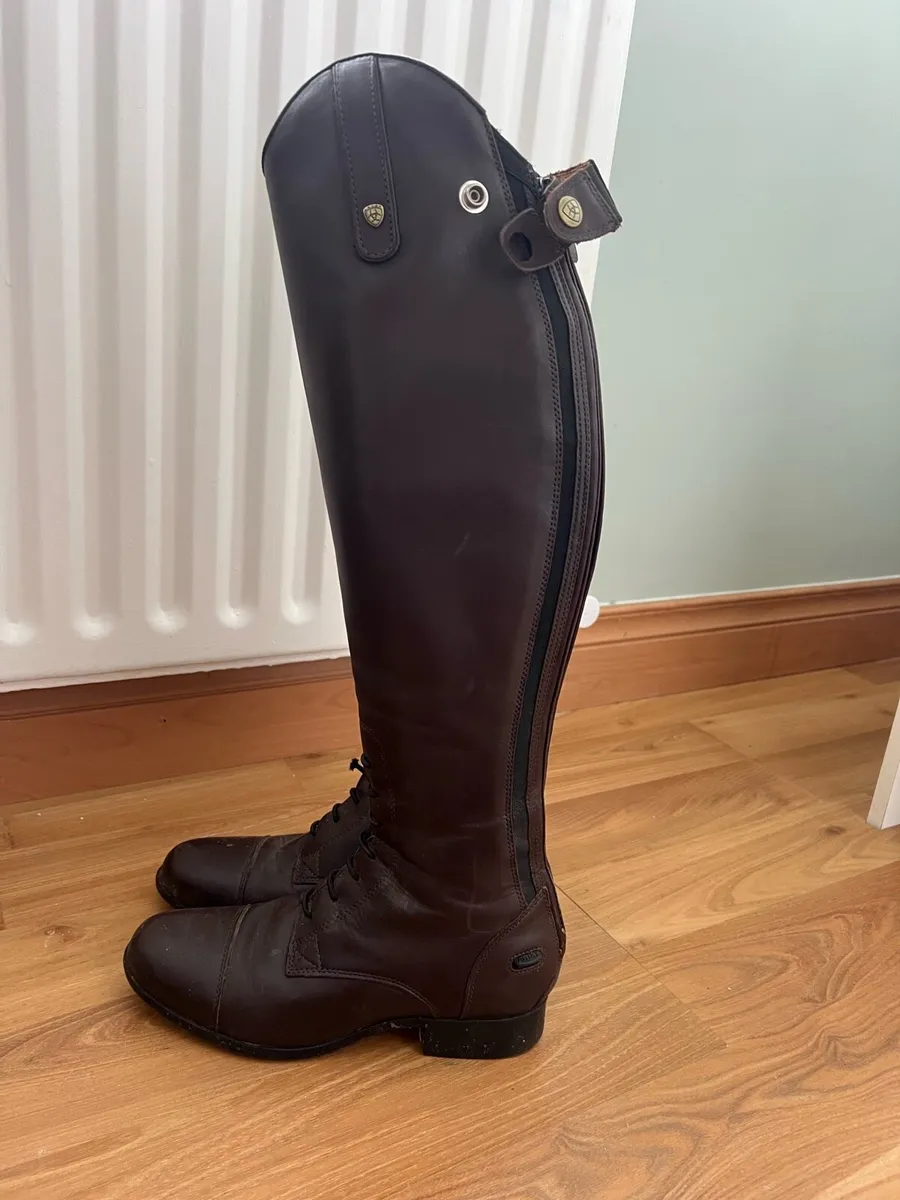 Horse riding boots ariat - Image 1