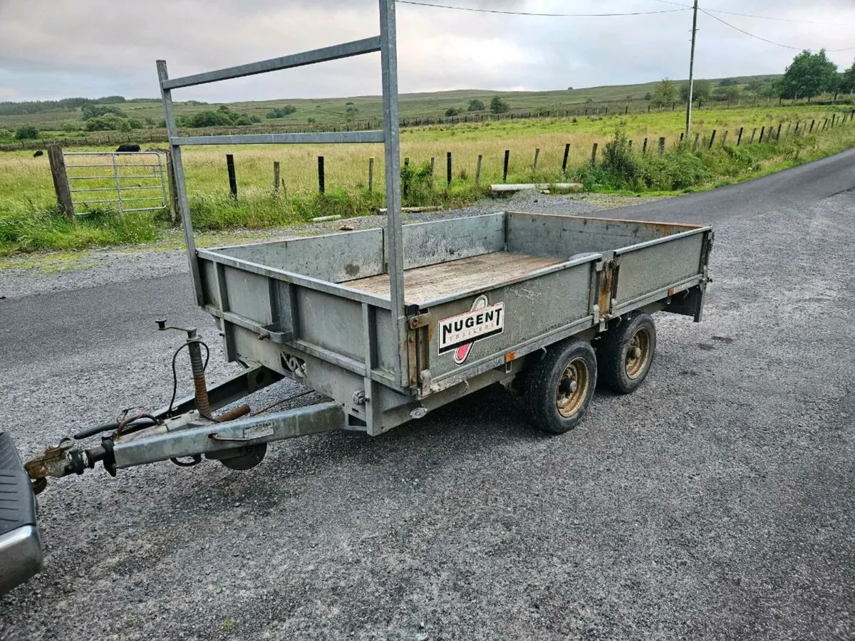 Nugent like Ifor williams - Image 1