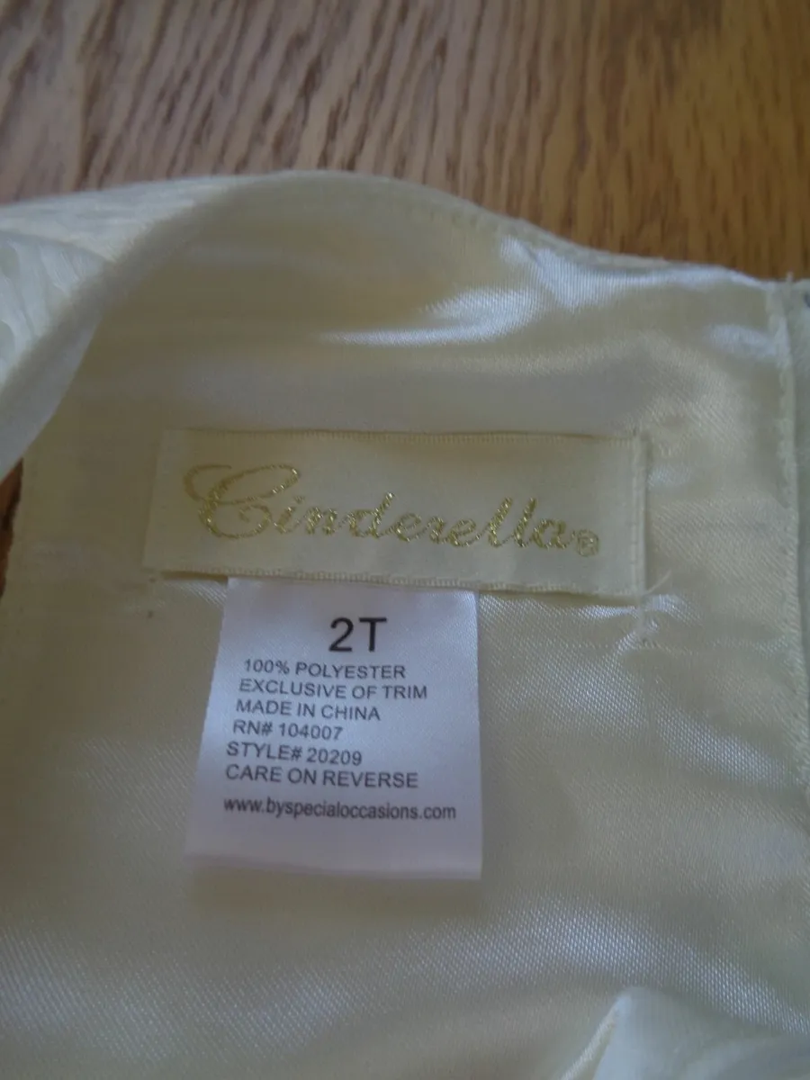 Cinderella Dress for Sale - Image 3