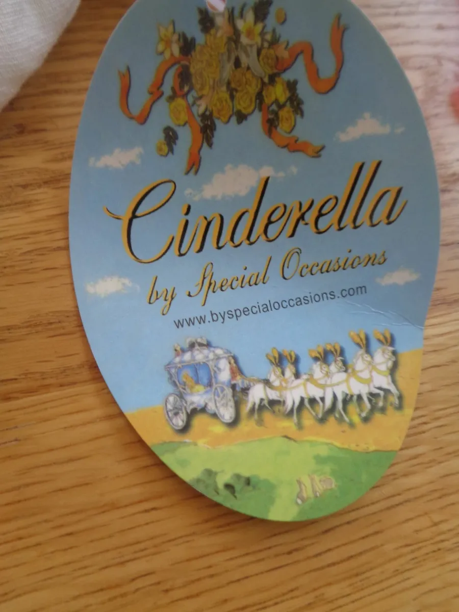 Cinderella Dress for Sale - Image 4