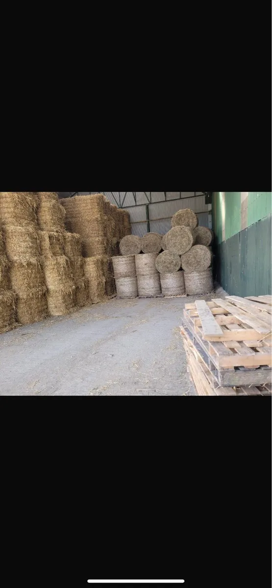 Hay & Straw in round and big square bales