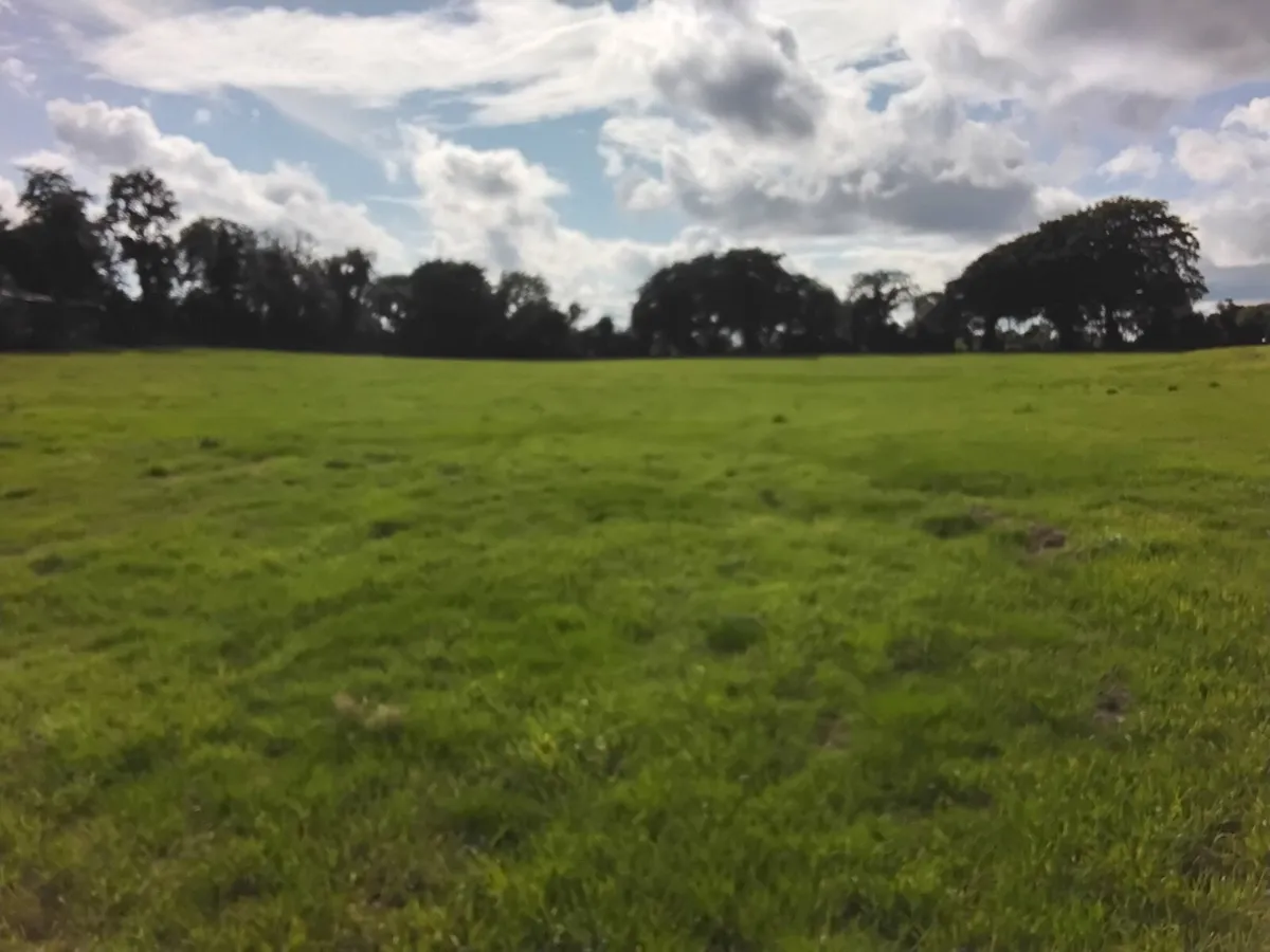 Haylage for sale - Image 2