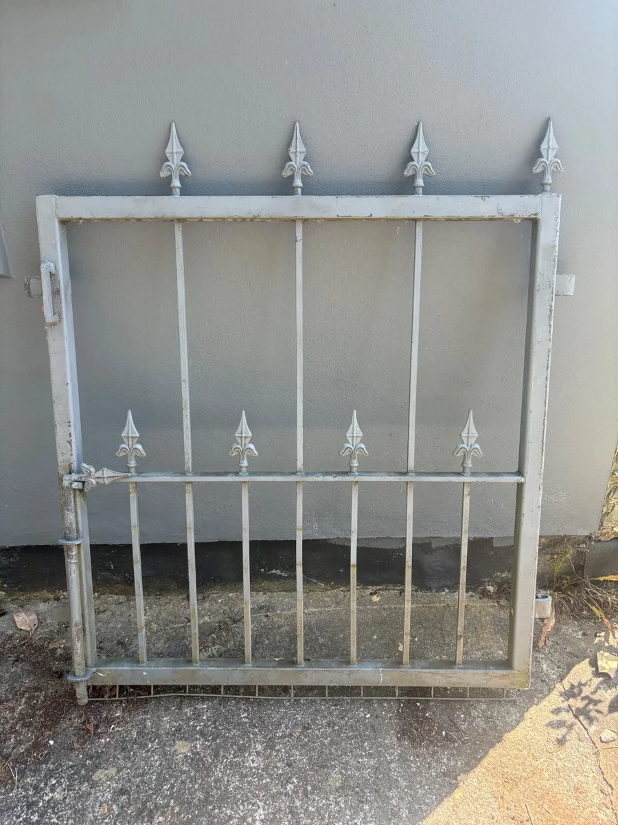 Steel small gate - Image 1